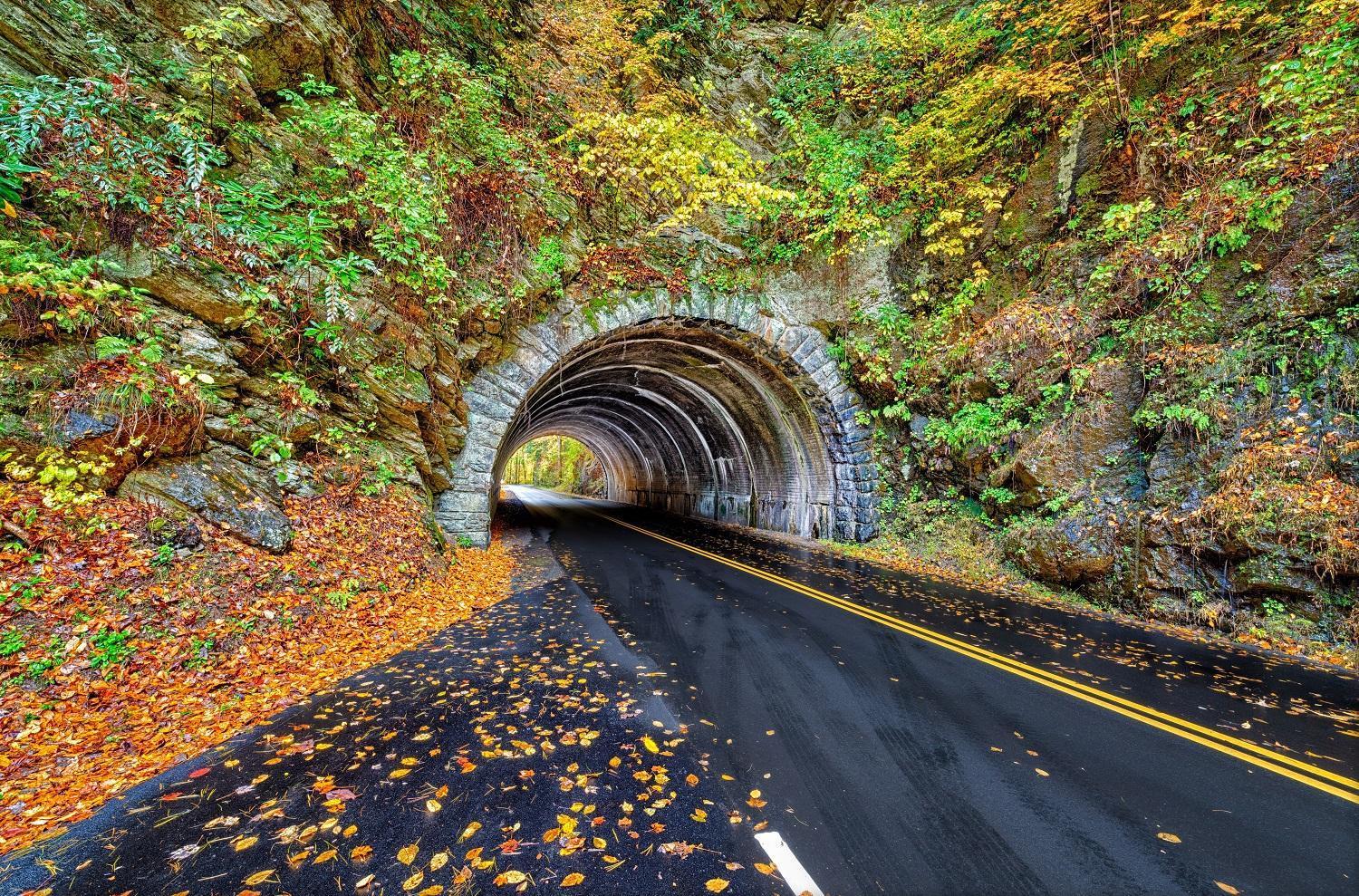Time To Cuddle, Wifi, Near Pigeon Forge, 1089 Free Tickets Each Paid Day, Dollywood And More Dış mekan fotoğraf