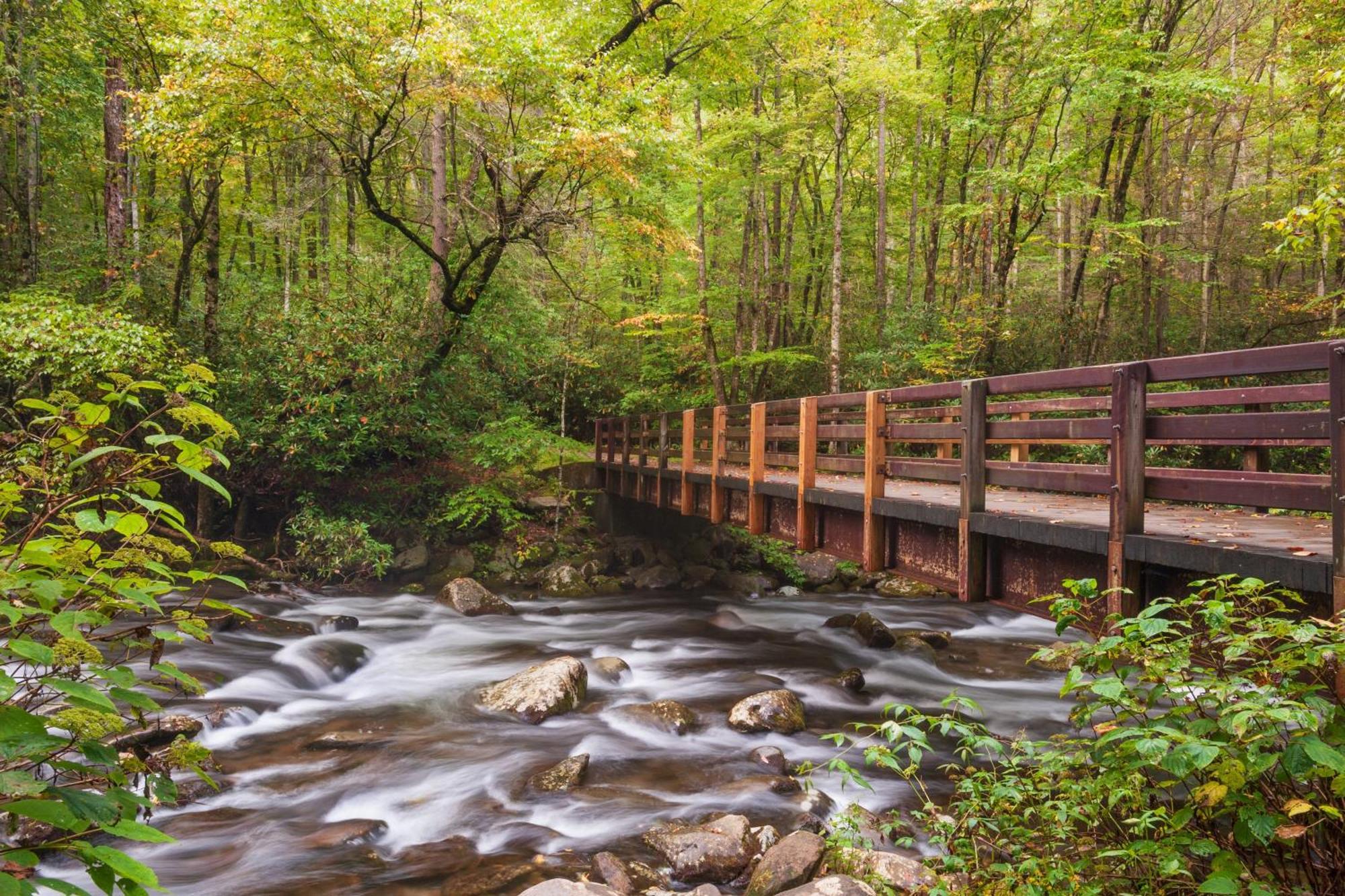Time To Cuddle, Wifi, Near Pigeon Forge, 1089 Free Tickets Each Paid Day, Dollywood And More Dış mekan fotoğraf