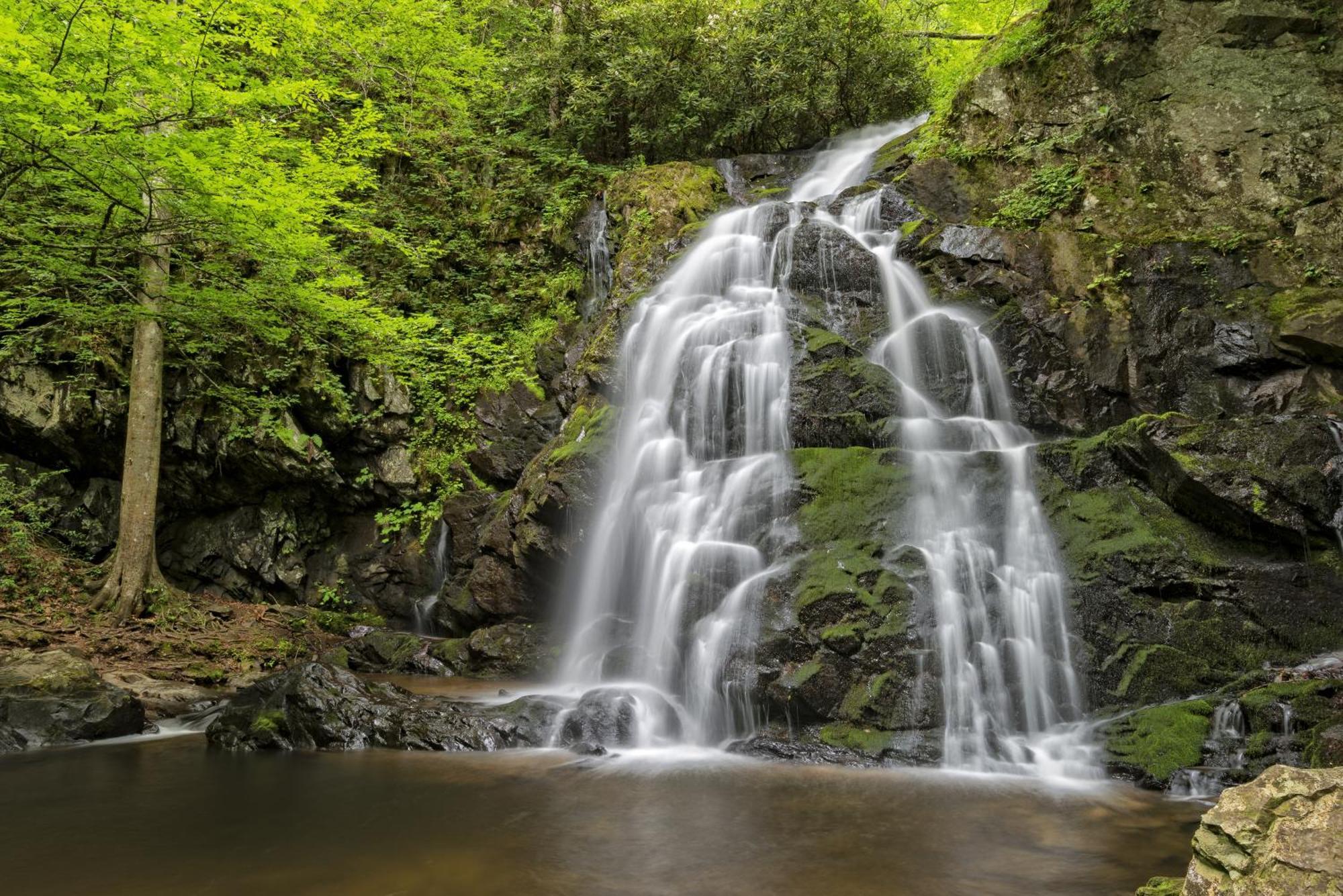 Time To Cuddle, Wifi, Near Pigeon Forge, 1089 Free Tickets Each Paid Day, Dollywood And More Dış mekan fotoğraf