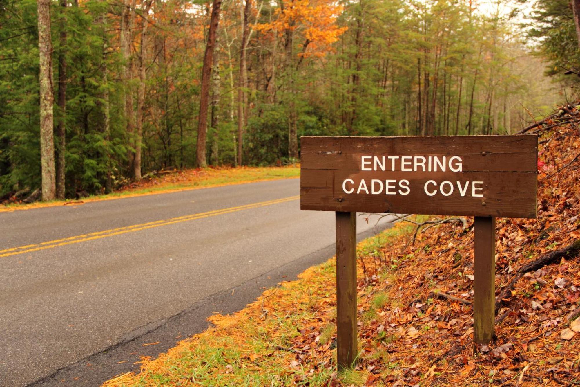 Time To Cuddle, Wifi, Near Pigeon Forge, 1089 Free Tickets Each Paid Day, Dollywood And More Dış mekan fotoğraf